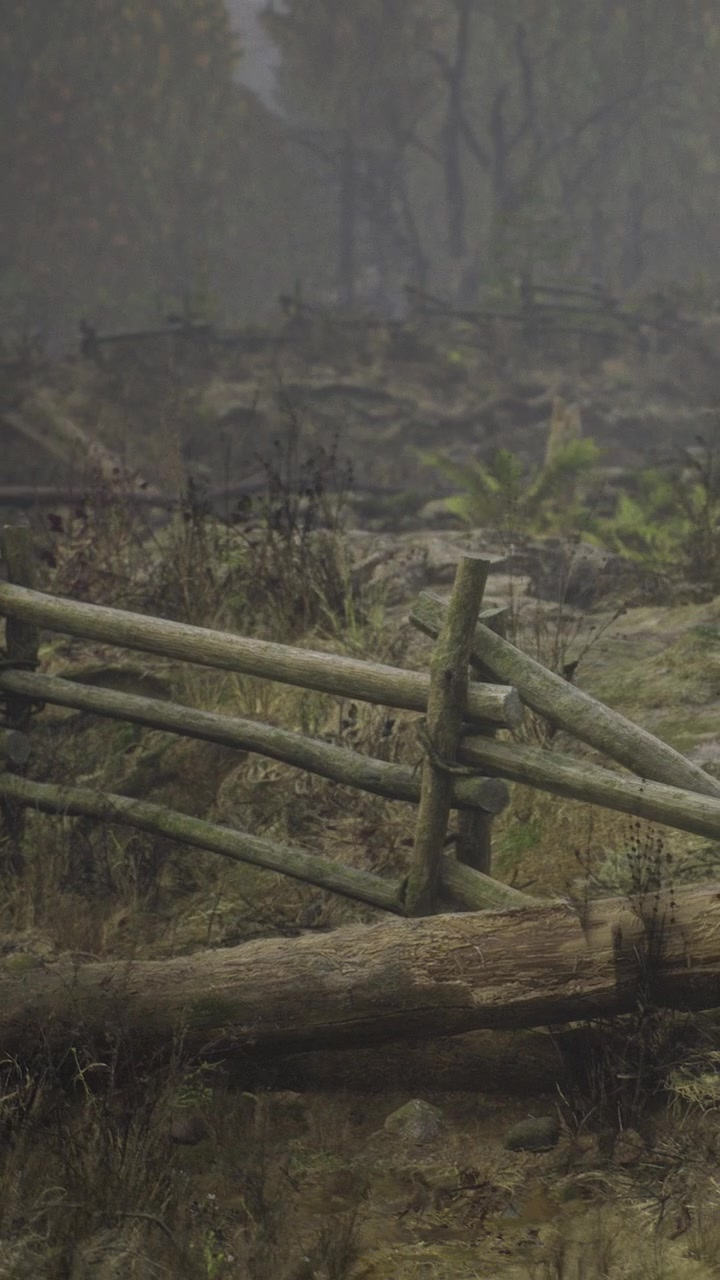 Scena di foresta nebbiosa con una recinzione logora e accenni alla resilienza della natura.