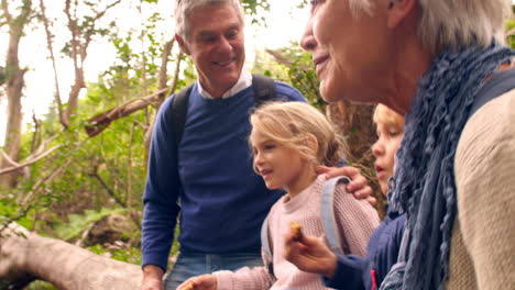 senior adults with grandchildren eating outdoors in a forest