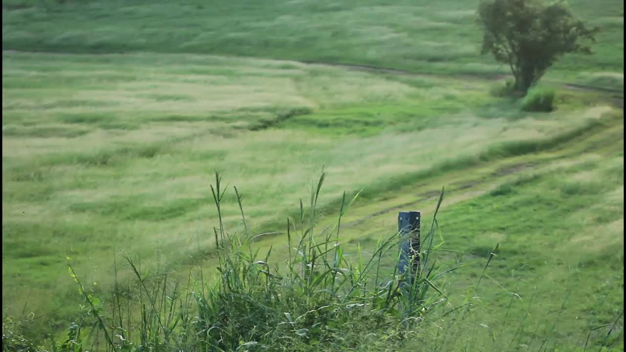 길이 있는 초원 풍경