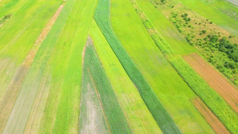 aerial top view of a different agriculture fields in countryside on a spring day