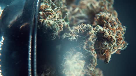 A-vertical-macro-cinematic-detailed-shot-of-a-cannabis-plant,-hybrid-orange-strains,-green-leaf-Indica-,marijuana-flower,-on-a-360-rotating-stand,-Full-HD,-super-slow-motion,-120-fps,-studio-lighting