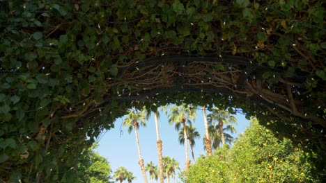 Tiro-Inclinado-Debajo-De-Una-Puerta-De-Jardín,-Revelando-Palmeras,-En-Un-Parque,-En-Un-Día-Soleado,-En-California,-Estados-Unidos