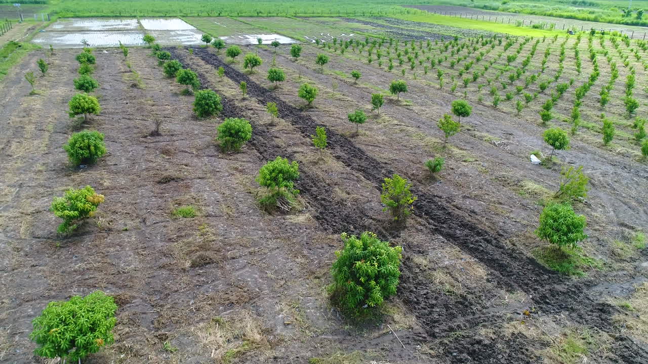 Low Altitude Aerial Shot Of A New Farm