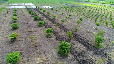 low altitude aerial shot of a new farm