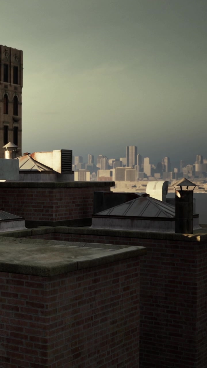 View from rooftop showing city skyline and industrial structures in evening