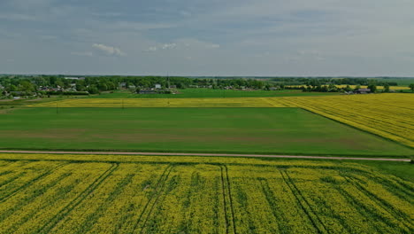 A-drone-flies-over-yellow-and-green-fields-near-a-forested-town