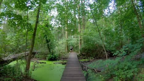 Trail-running-over-a-bridge-mid-summer-morning-in-a-relaxing-woodland