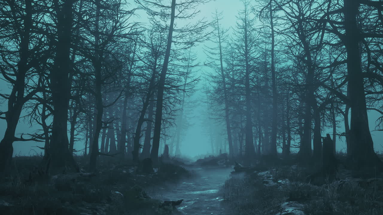 Looping walk through the gloomy dark forest