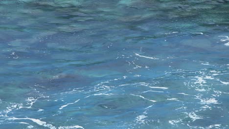 a wave lifts up the sea water exposing the rocky seabed before breaking to shore