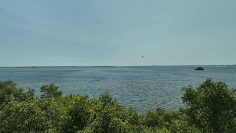 A-Bei-St.-Petes-Florida-In-Der-Nähe-Von-Tampa-Bay