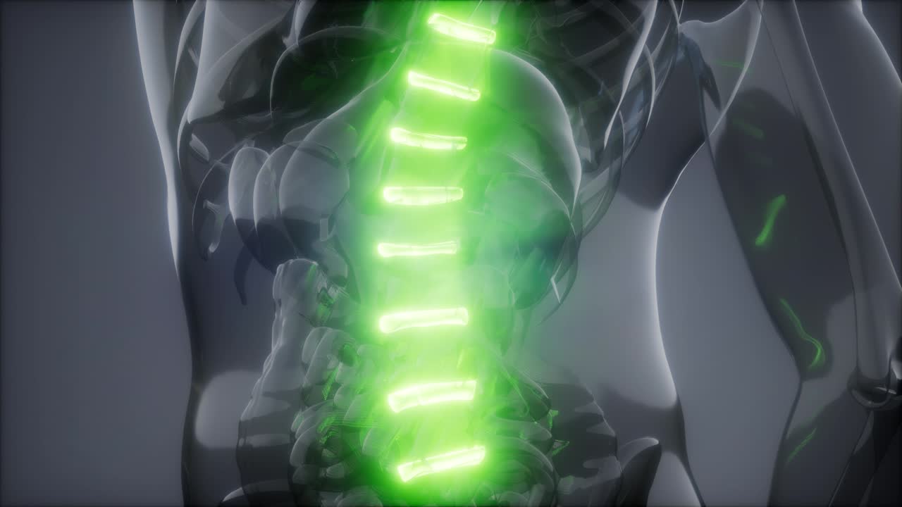 허리  ⁇ 에 허리 통증