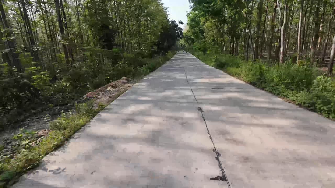 Pov of Riding from Blora to Randublatung district passing through the forest