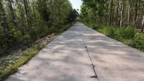pov of riding from blora to randublatung district passing through the forest