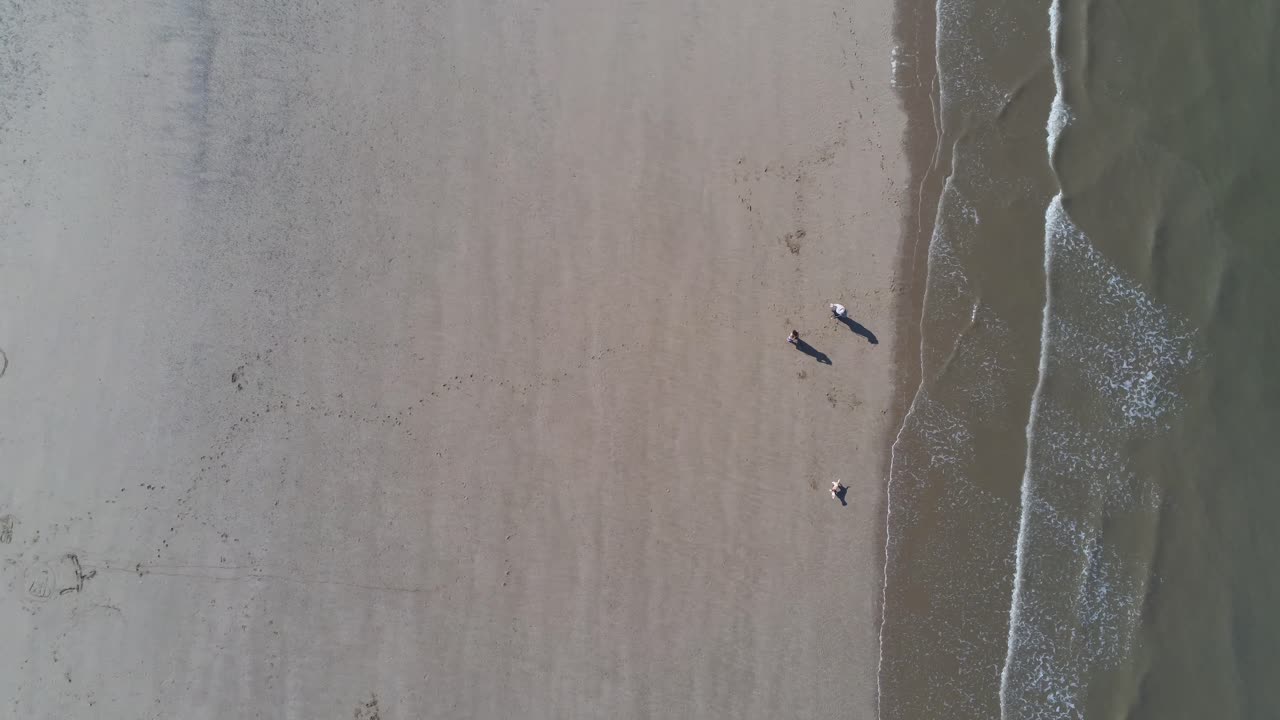 vista aérea idílica mirando hacia abajo sobre la playa de arena dorada de verano con turistas paseando a un perro debajo