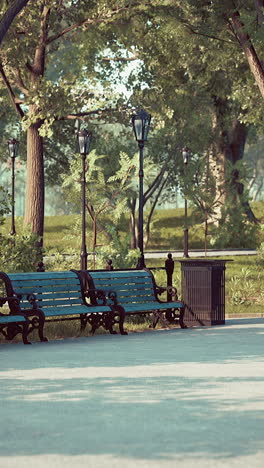 a peaceful park scene with benches, trees, and streetlights