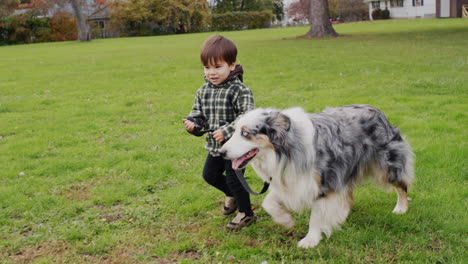 Lindo-Niño-Caminando-Con-Un-Gran-Perro-Pastor