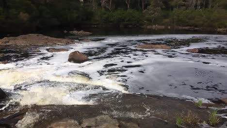 panning shot of frankland river and circular pool near walpole in western australia which creates a foam due to high levels of saponin