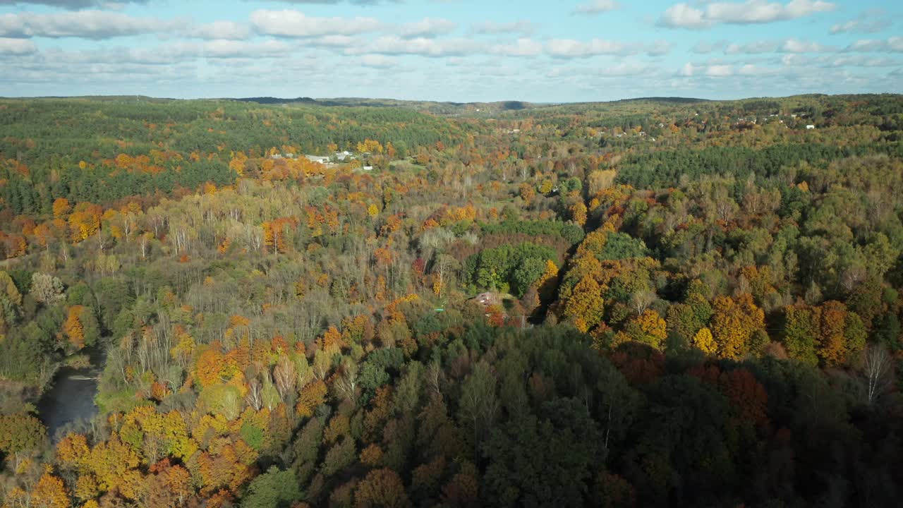 AERIAL: Autumn forest full of colorful trees: birches, oaks, pines and poplars, colorful leaves