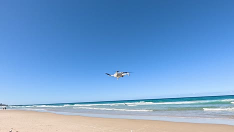 seagulls flying above sandy beach and ocean waves