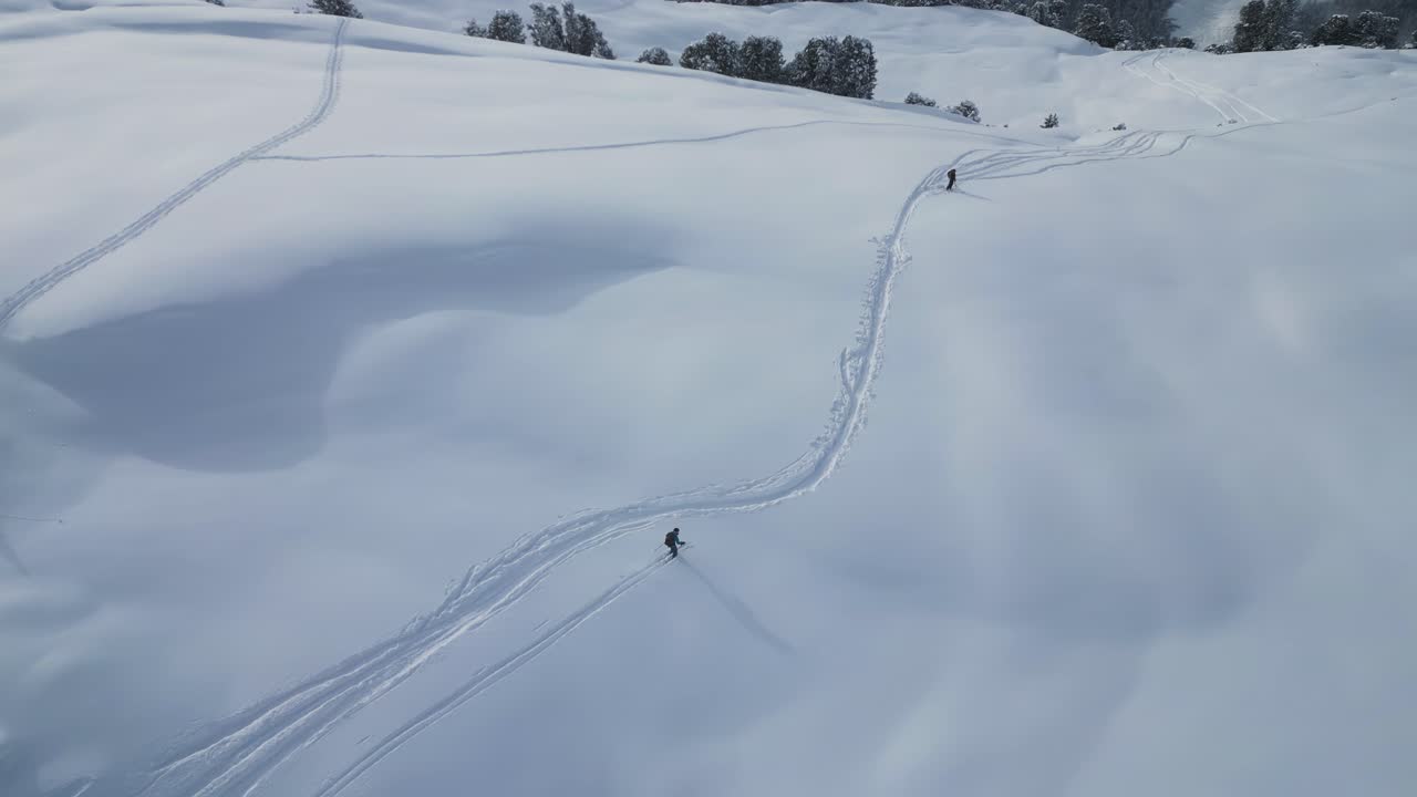 aéreo siguiendo a un grupo deportivo joven esquiando por la pendiente de la cordillera de un glaciar cubierto de nieve en un paisaje alpino nevado, vista de arriba hacia abajo