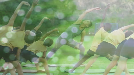 composite of diverse group of children and instructor doing exercises, and moving trees