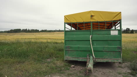 medium shot of a yellow field with a green and yellow trailer in the foreground