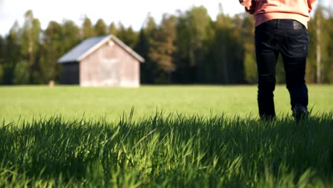 Joven-Solitario-Con-Capucha-Caminando-En-Un-Campo-De-Hierba-Verde-Hacia-Un-Viejo-Granero-Desgastado,-Hierba-Verde-Balanceándose-En-Primer-Plano,-Poca-Profundidad-De-Campo