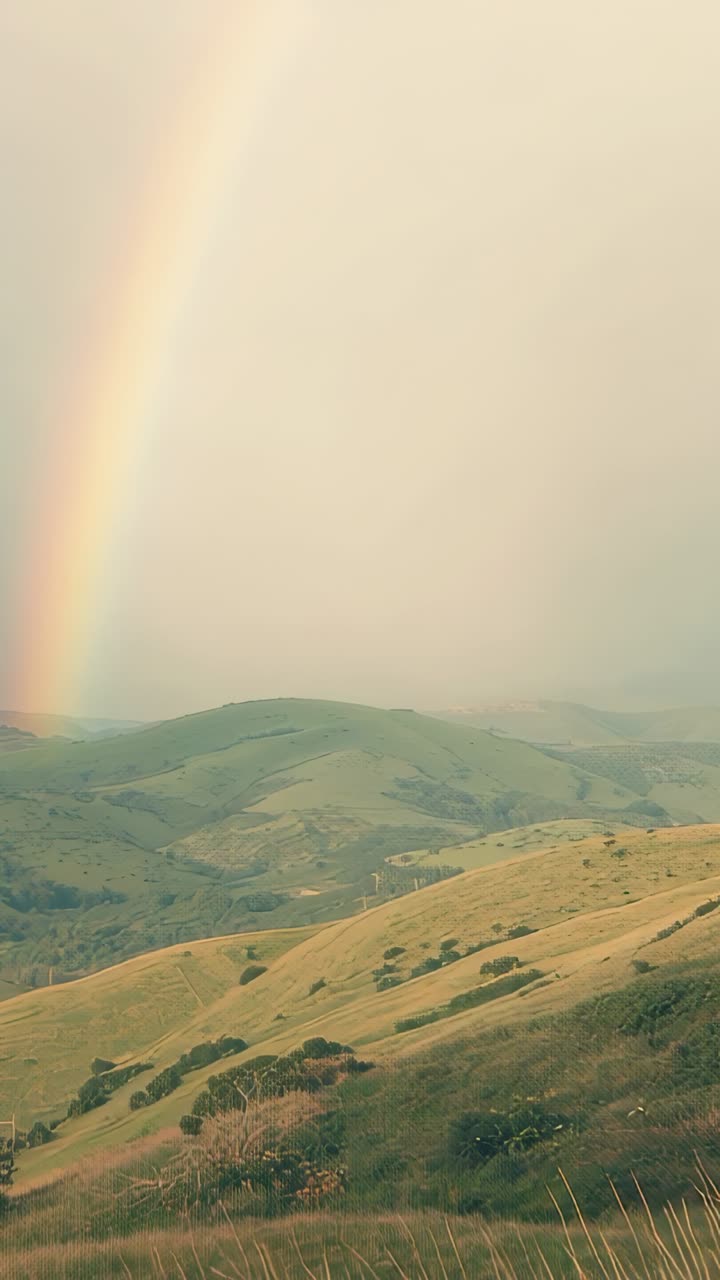 Vertical video: Emerging vivid rainbow arching over hillside after rain showers, copy space