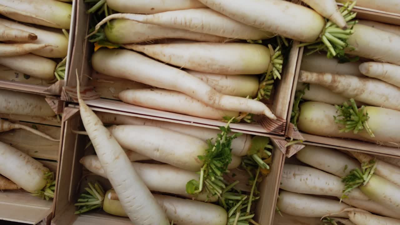 Pan shot of Mooli or Daikon, Raphanus sativus, displayed on a market stall