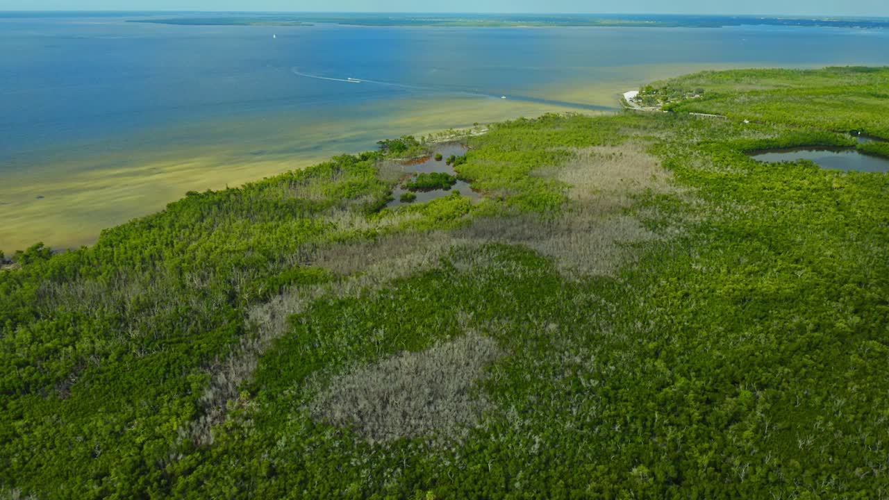 Un denso bosque de manglares verdes se extiende a lo largo de la costa, donde se une con las claras aguas del océano, con zonas arenosas poco profundas visibles y parches secos dispersos a lo largo de la costa de Florida bajo un cielo despejado.