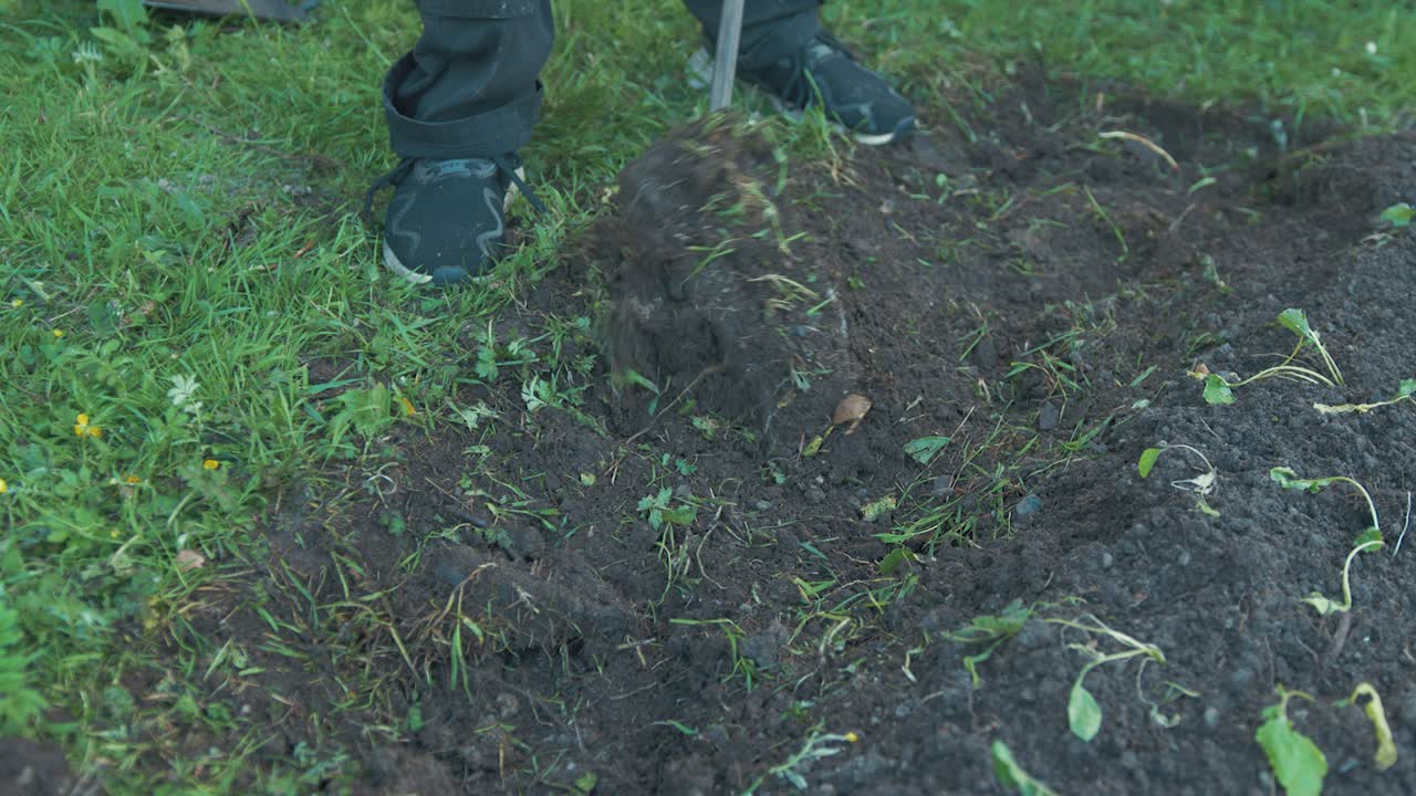 quitando rocas del jardín usando una palanca y una pala