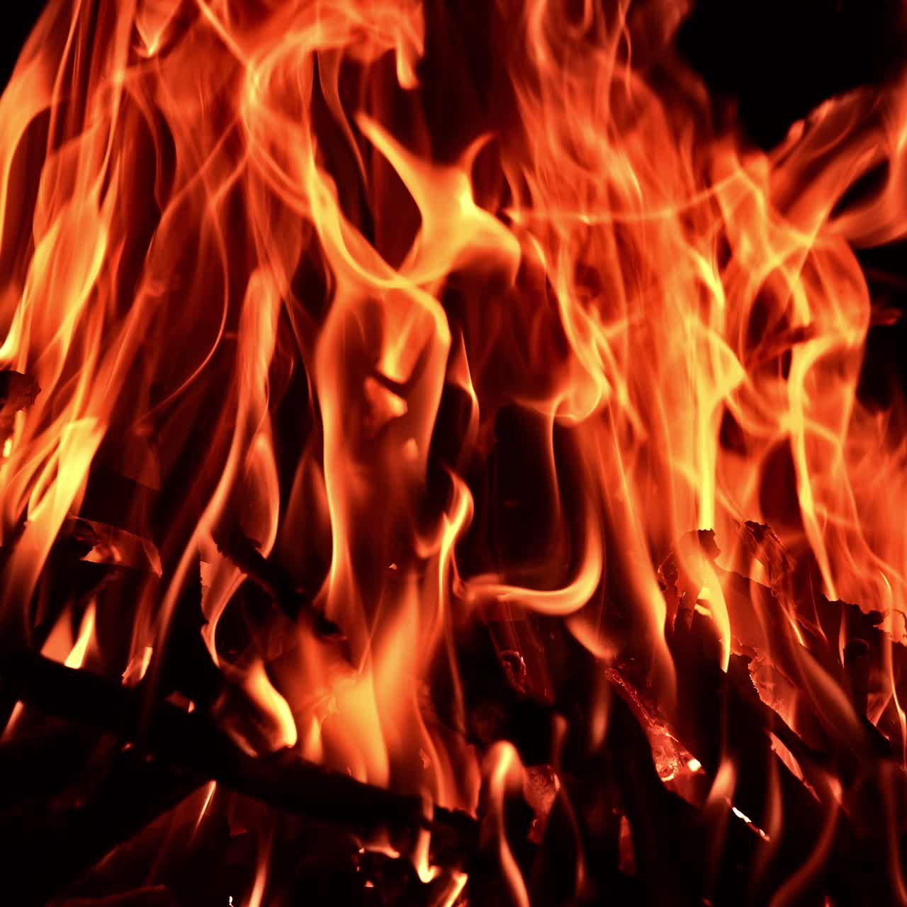 Some pieces of wood are burning in the campfire. Beautiful orange flames at black backdrop
