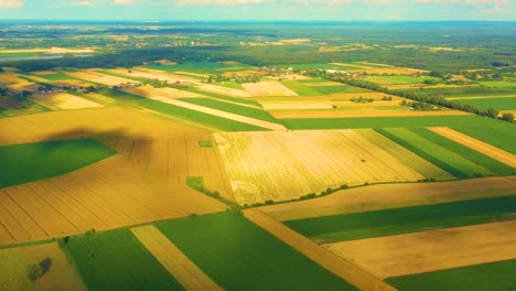 abstract geometric shapes of agricultural parcels of different crops in yellow and green colors. aerial view shoot from drone directly above field