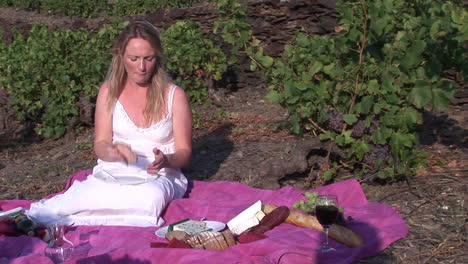 picnic en el sur de francia