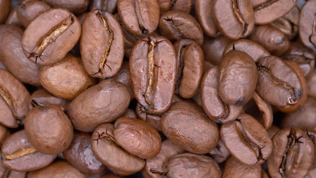 granos de café tostados de alta calidad