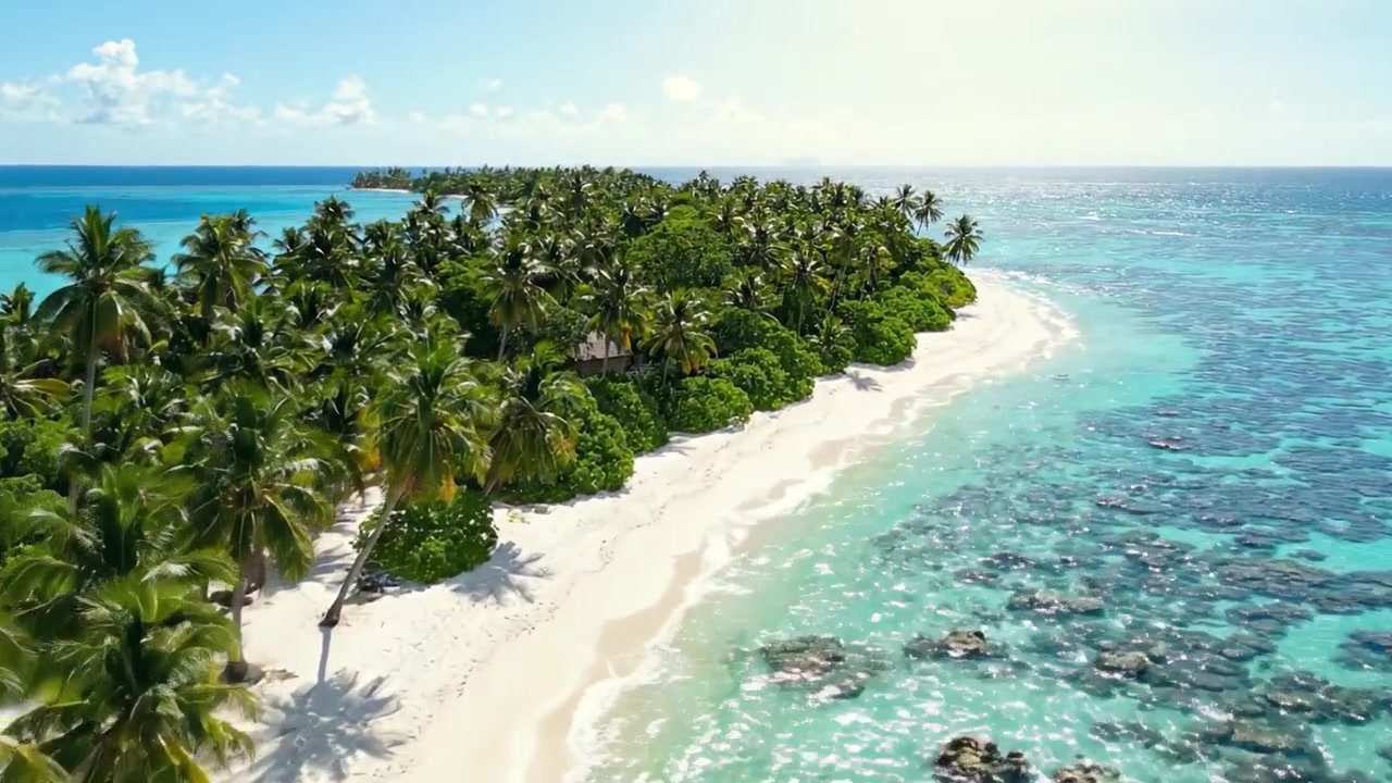 Un Sereno Paradiso Tropicale: Vegetazione Rigogliosa e Acque Cristalline Sotto la Luminosa Luce del Sole su un'Isola con Spiagge Incontaminate.