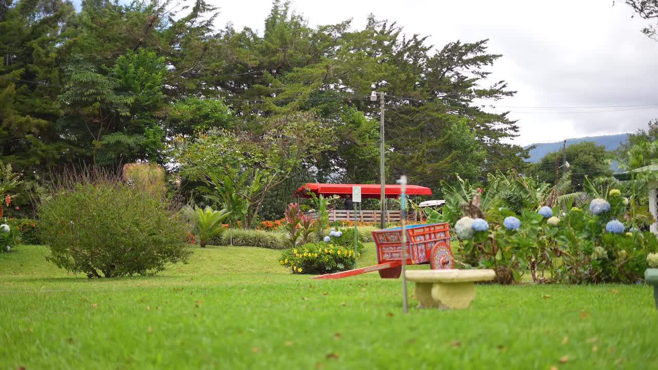 코스타리카의 국가 상징인 황소 마차, 코스타리카, 중앙 아메리카의 전형적인 마차, 푸라 비다, 다채로운, 칠한 마차, 녹색 지역