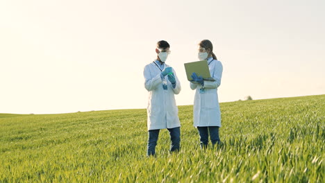 kaukasische weibliche und männliche forscher, die reagenzgläser mit chemischen pestiziden halten und laptop im grünen feld verwenden