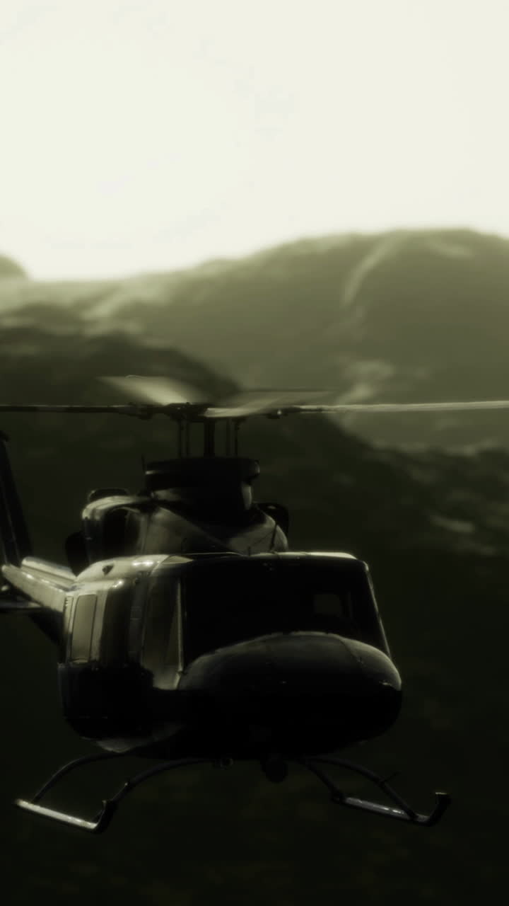 Cloaked in low hanging mist