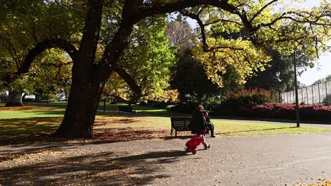 person walking past a bench under a tree