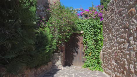 cobbled street in medieval town with house covered in plants and flowers