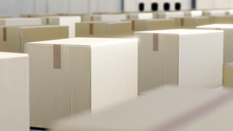 Rows of carton boxes on conveyor roller 3d animation loop