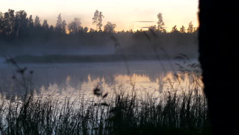 motionlapse of fog moving over still lake by forest in finland at dusk