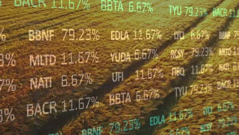 Animación-Del-Procesamiento-De-Datos-Financieros-Sobre-El-Campo-Agrícola