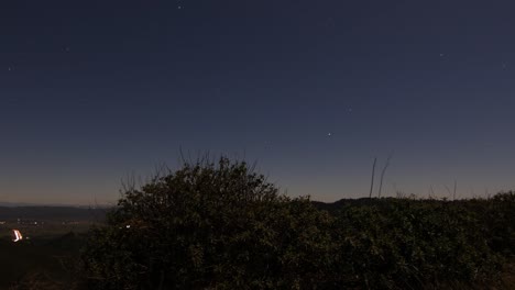 Star-lapse-De-Arbustos-Y-Carretera