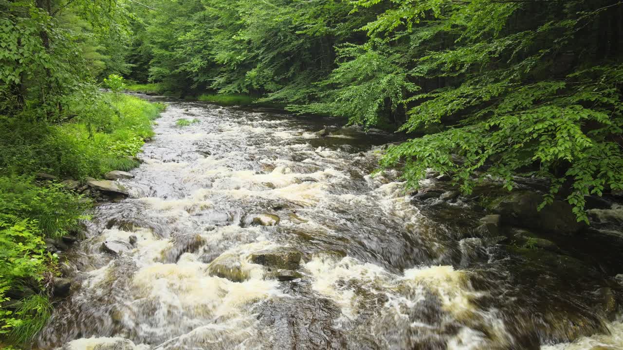 Drone footage of a trout fishing stream in the Catskill mountains after a day of rain