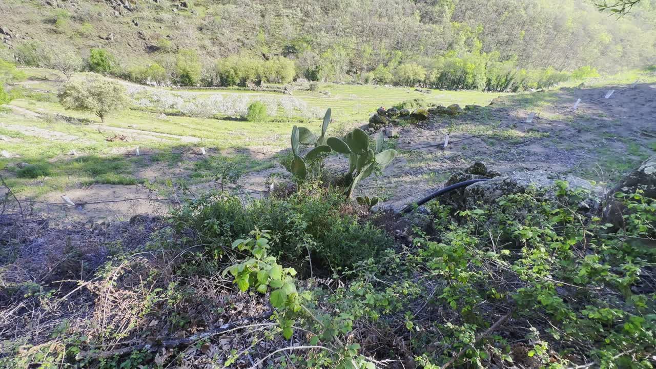 excursionista pov, parar para tomar en vista del valle del jerte españa, mira alrededor del sendero