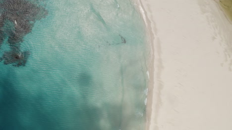 Top-down-aerial-view-dark-cloud-shadows-passing-above-paradise-bay-ocean-beach