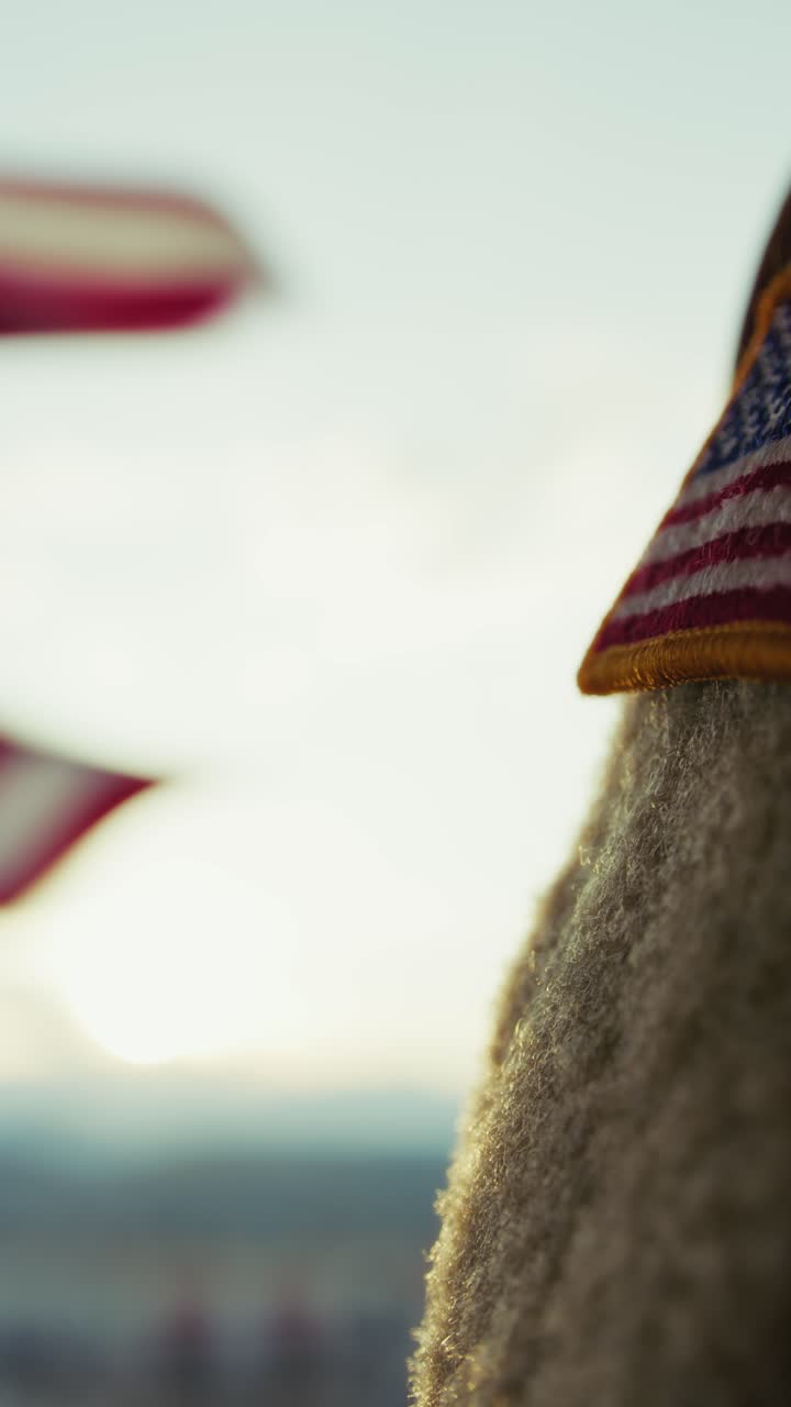 Memorial Day Celebrations Flag United States America And Soldier
