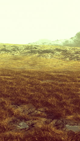 golden grassland with snow capped mountains in the background at dusk